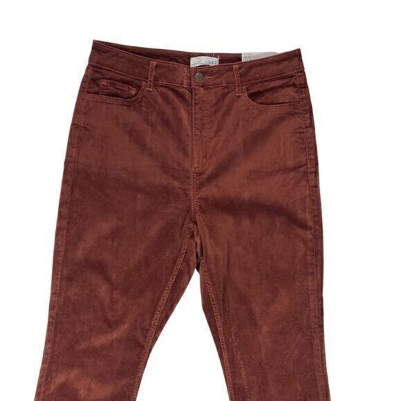 Loft Velvet Skinny Ankle Pants Womens 30 Stretch Curvy Fit Business Trousers NWT - Picture 3 of 16